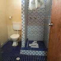 Tiled bathroom with a toilet and walk-in shower area