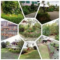 Collage of the lodge grounds featuring tropical landscaping and various bungalows.