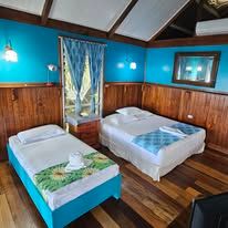 Guest room with blue walls, wood paneling, and two beds under a vaulted ceiling