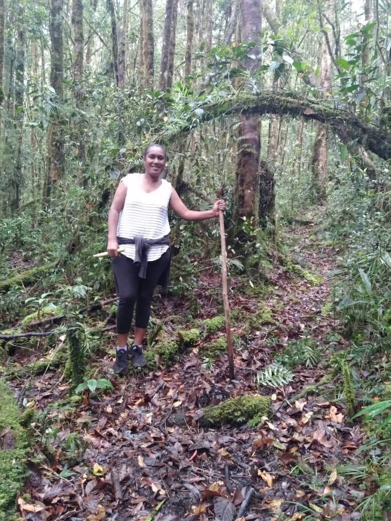 Hiking trail through the dense forest area.