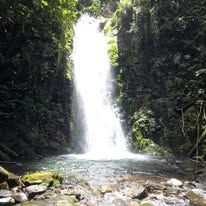 A natural waterfall located in the nearby rainforest.