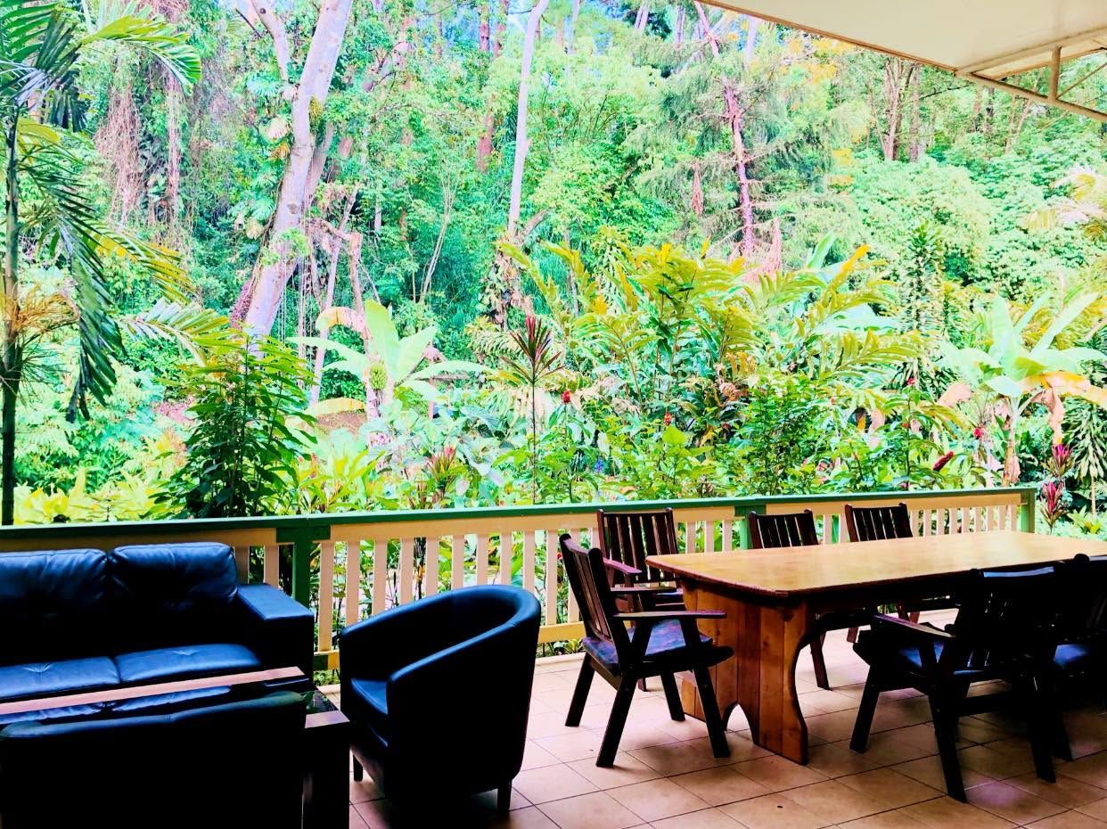 Outdoor dining area with a long table and lush forest views