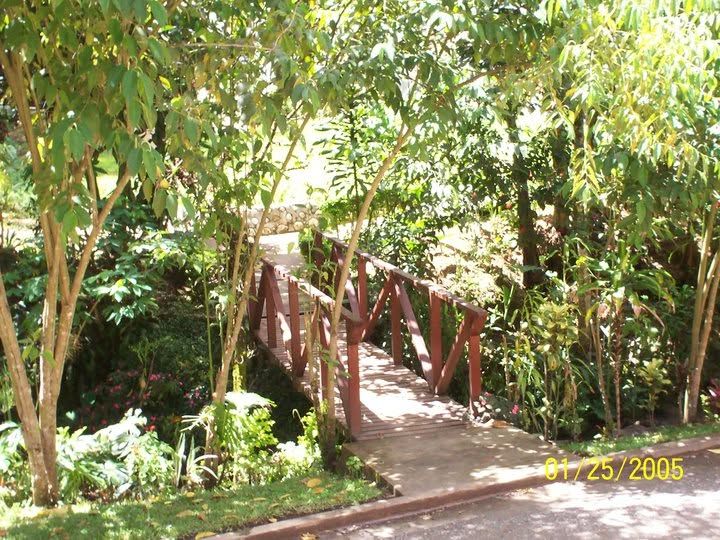Small wooden bridge crossing over a tropical garden area