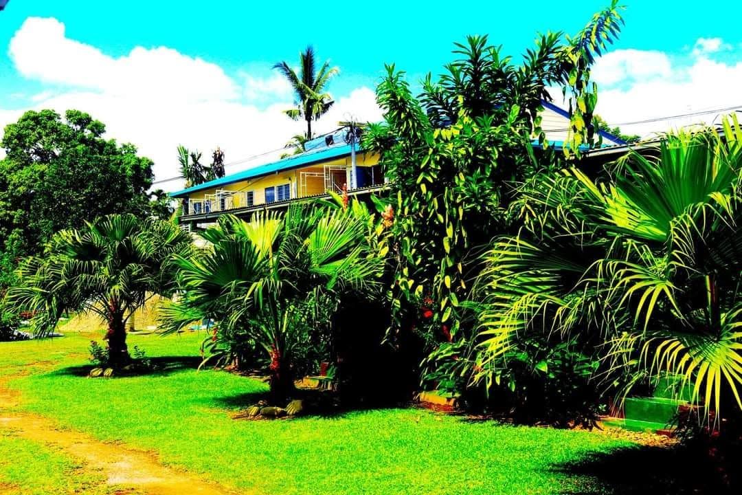 Lodge exterior viewed through lush tropical greenery and palm trees.