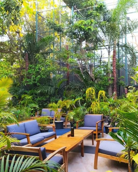 Lush garden seating area with wooden sofas and tropical plants.