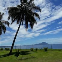 Scenic coastal view with a palm tree, green lawn, and distant mountains.