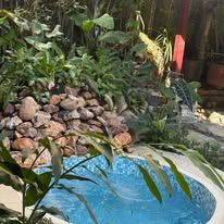 Small outdoor plunge pool surrounded by decorative rock wall and garden foliage.