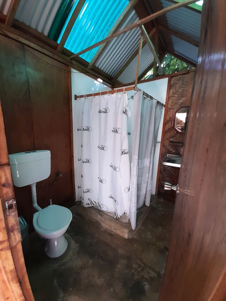 Indoor bathroom featuring a toilet and curtained shower area.