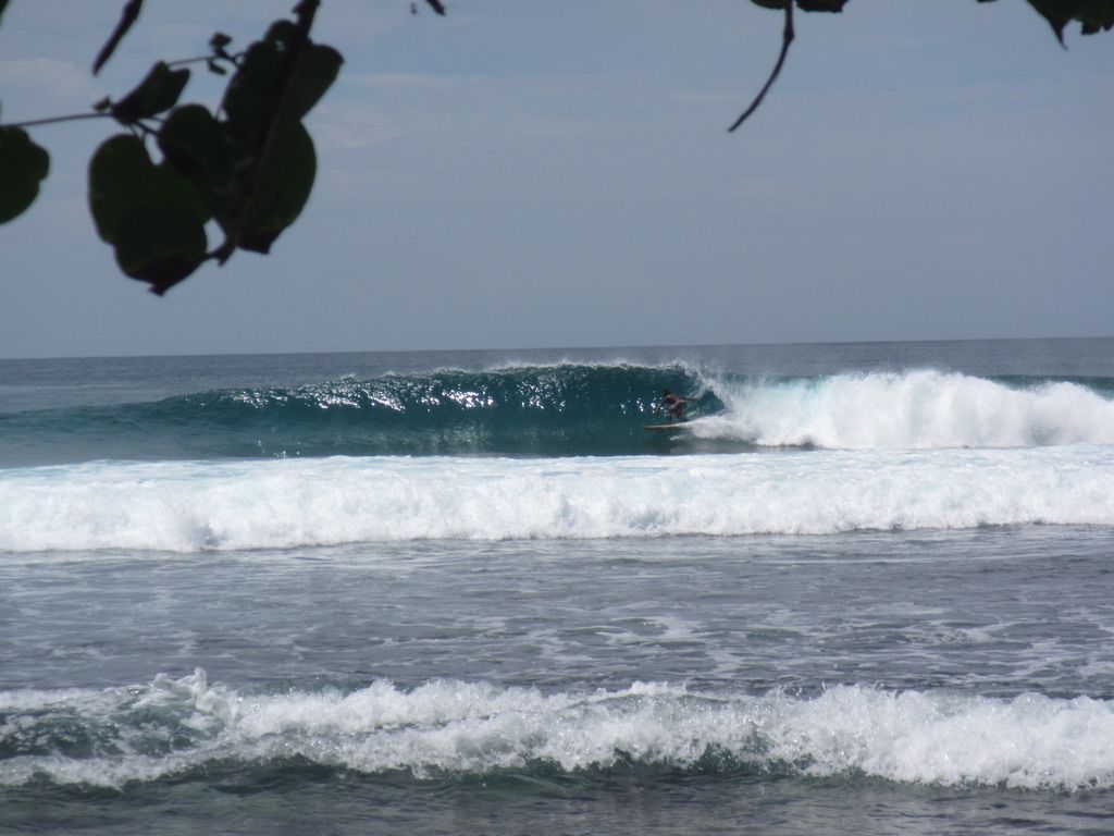 Surfer catching a wave on the reef break at the property.