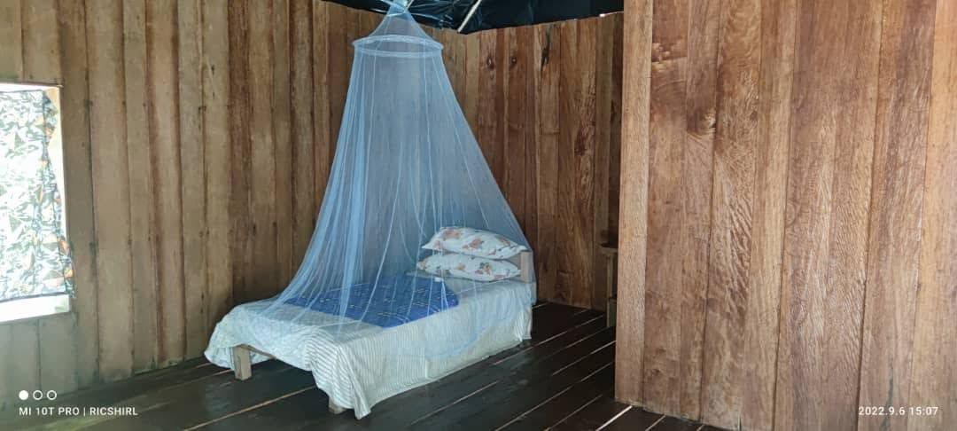 Single bed with white mosquito netting in a rustic wooden cabin.
