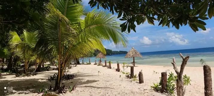 Scenic view of the ocean shoreline with palm trees and beach huts.