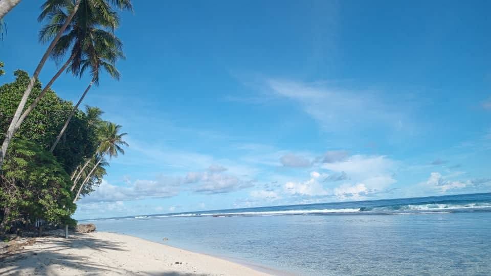 Beautiful white sand beach with palm trees and ocean views