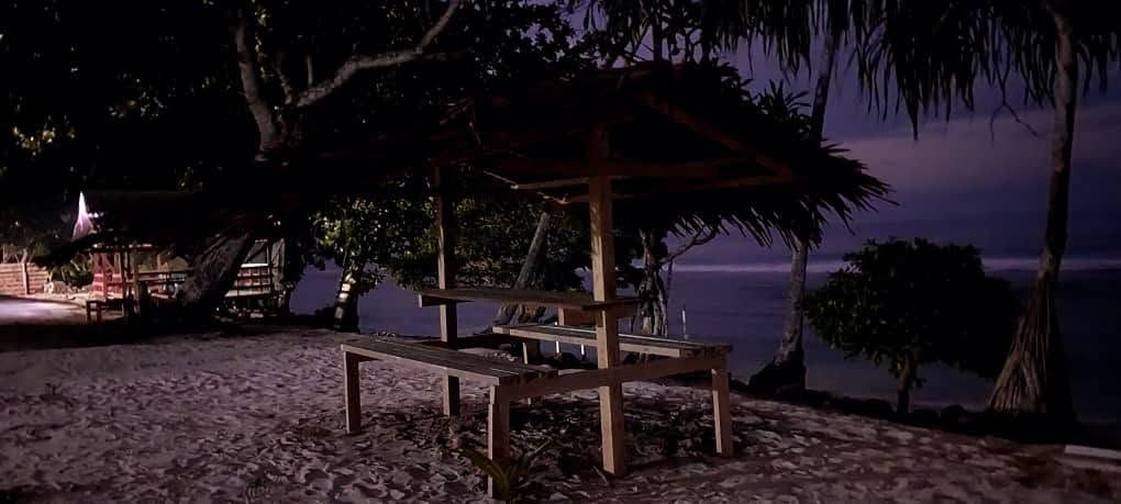 Beachfront picnic table under palm trees at dusk