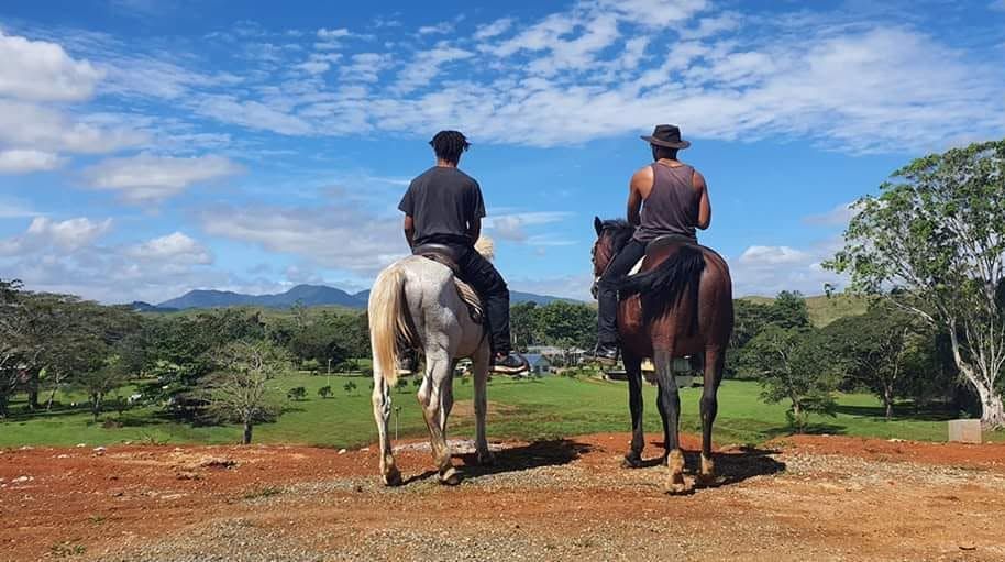 Horseback riding excursion across the lush green hills of the estate.