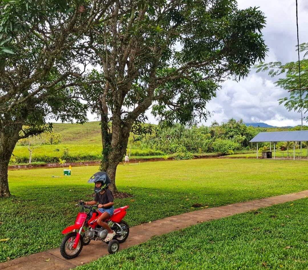 Child riding a small red motorbike on the paved path through the lawn.