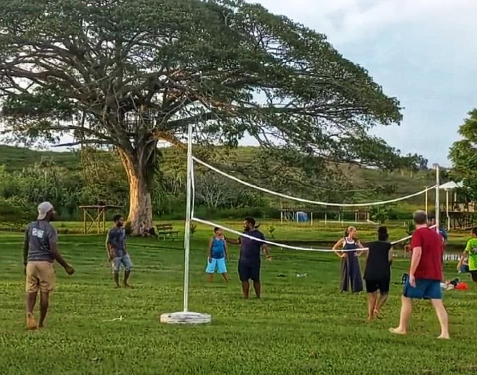 People playing volleyball on a grass court beneath a large tree.