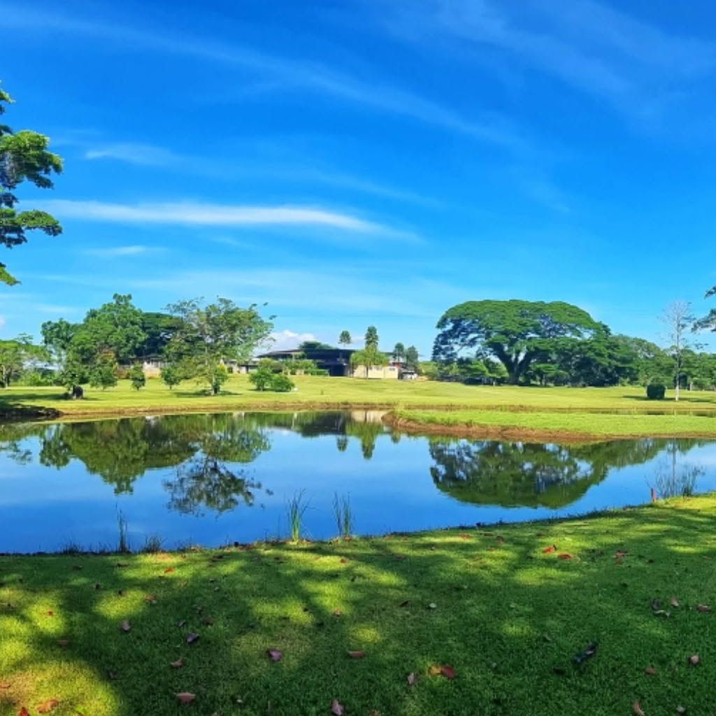 Calm water pond reflecting the surrounding trees and blue sky.
