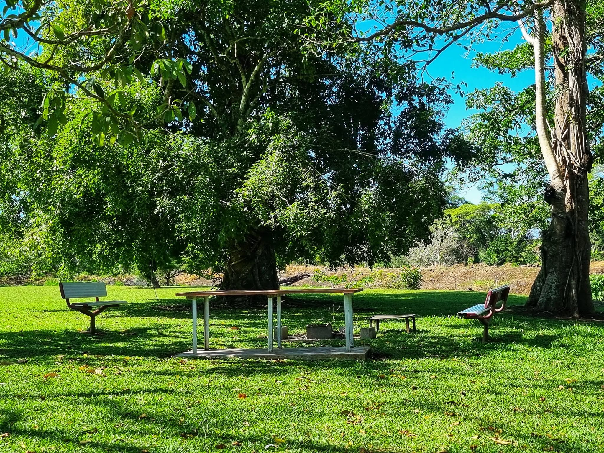 Outdoor picnic table and benches shaded by large leafy trees.