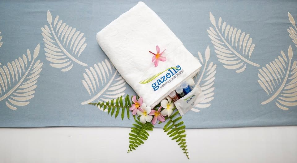 Gazelle International Hotel shared area 2