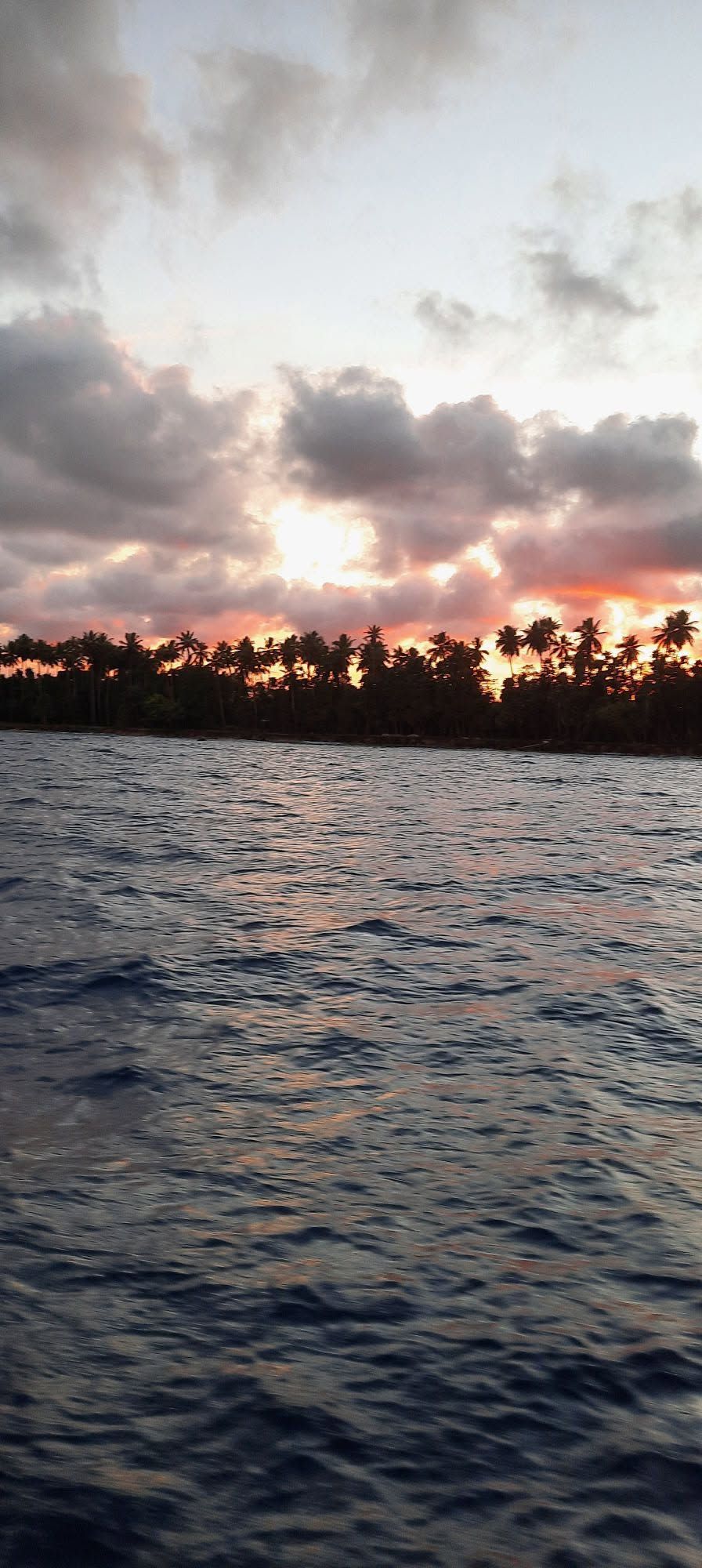 A vibrant sunset over the ocean with silhouetted palm trees.