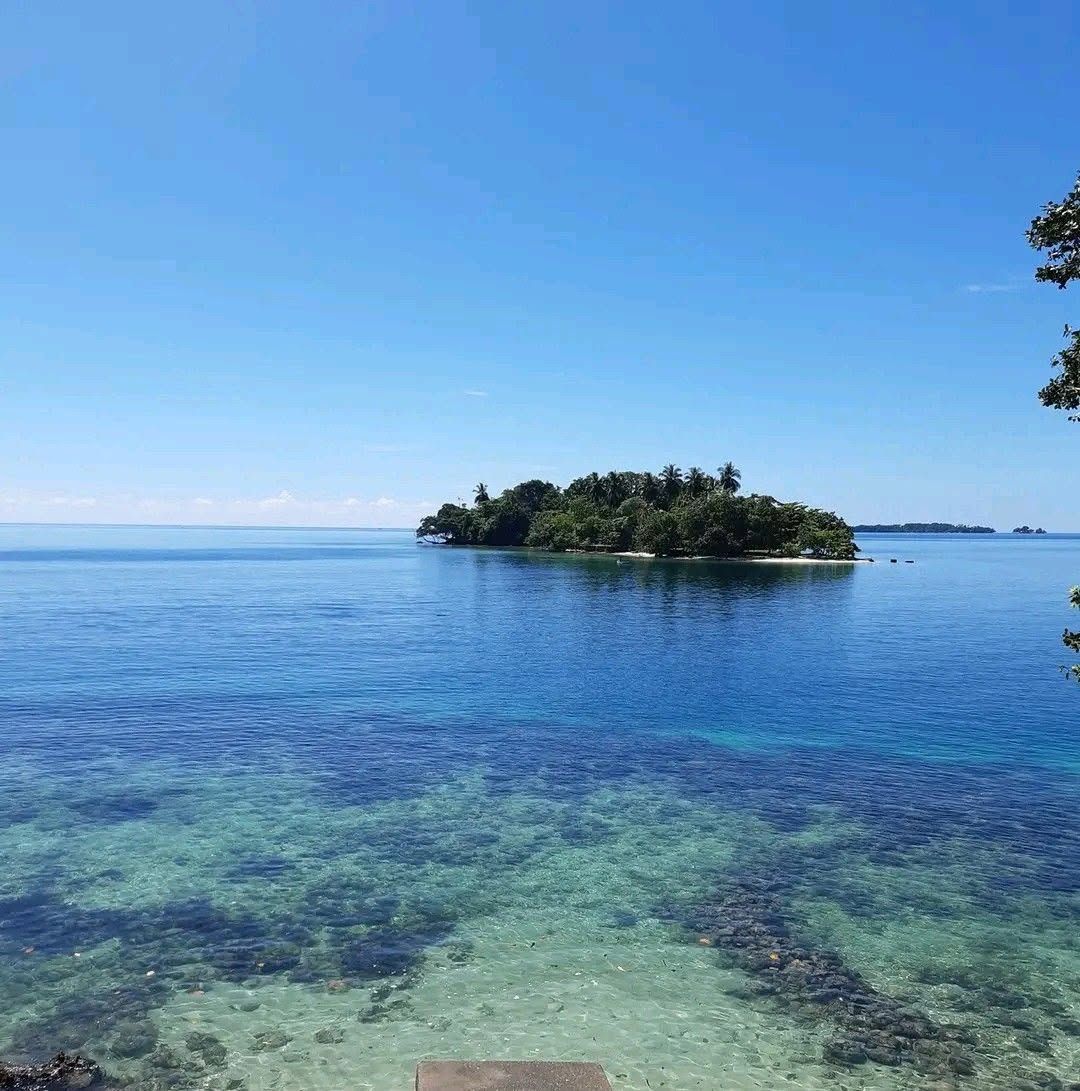View across the reef towards a small lush tropical island.