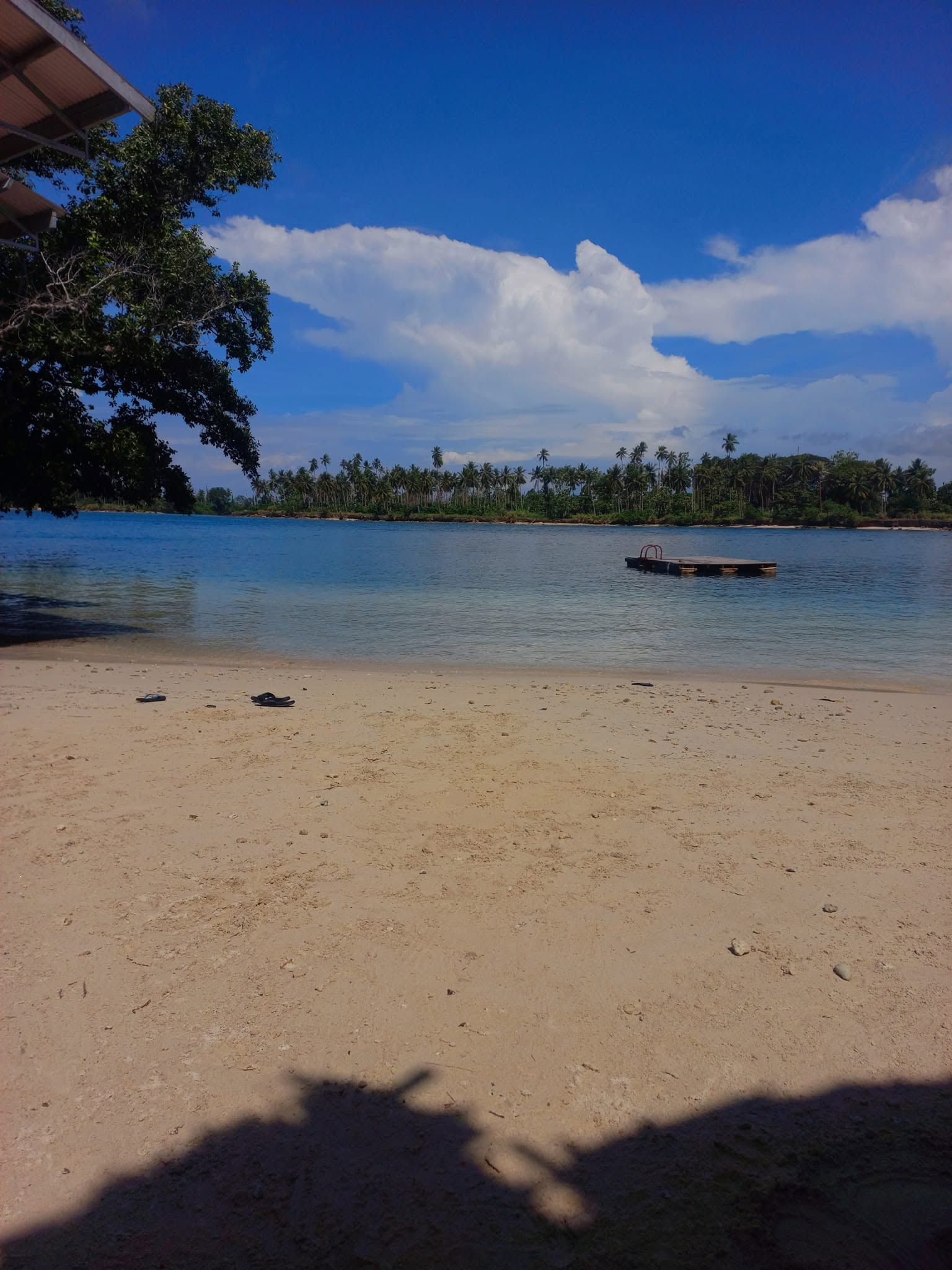 Sandy beach area leading to the clear shallow water.