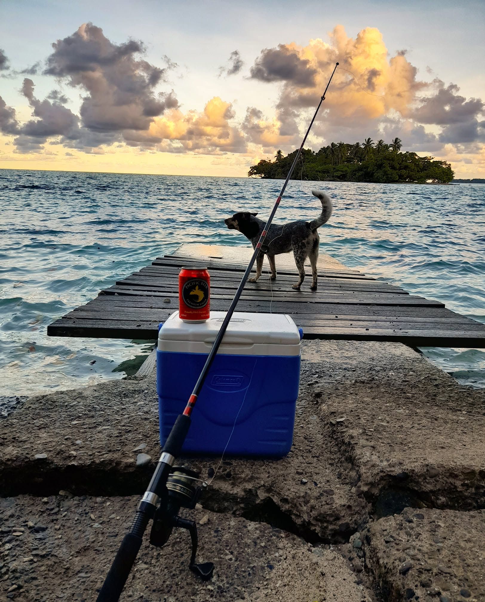 Fishing gear and a cooler on a wooden pier at sunset.