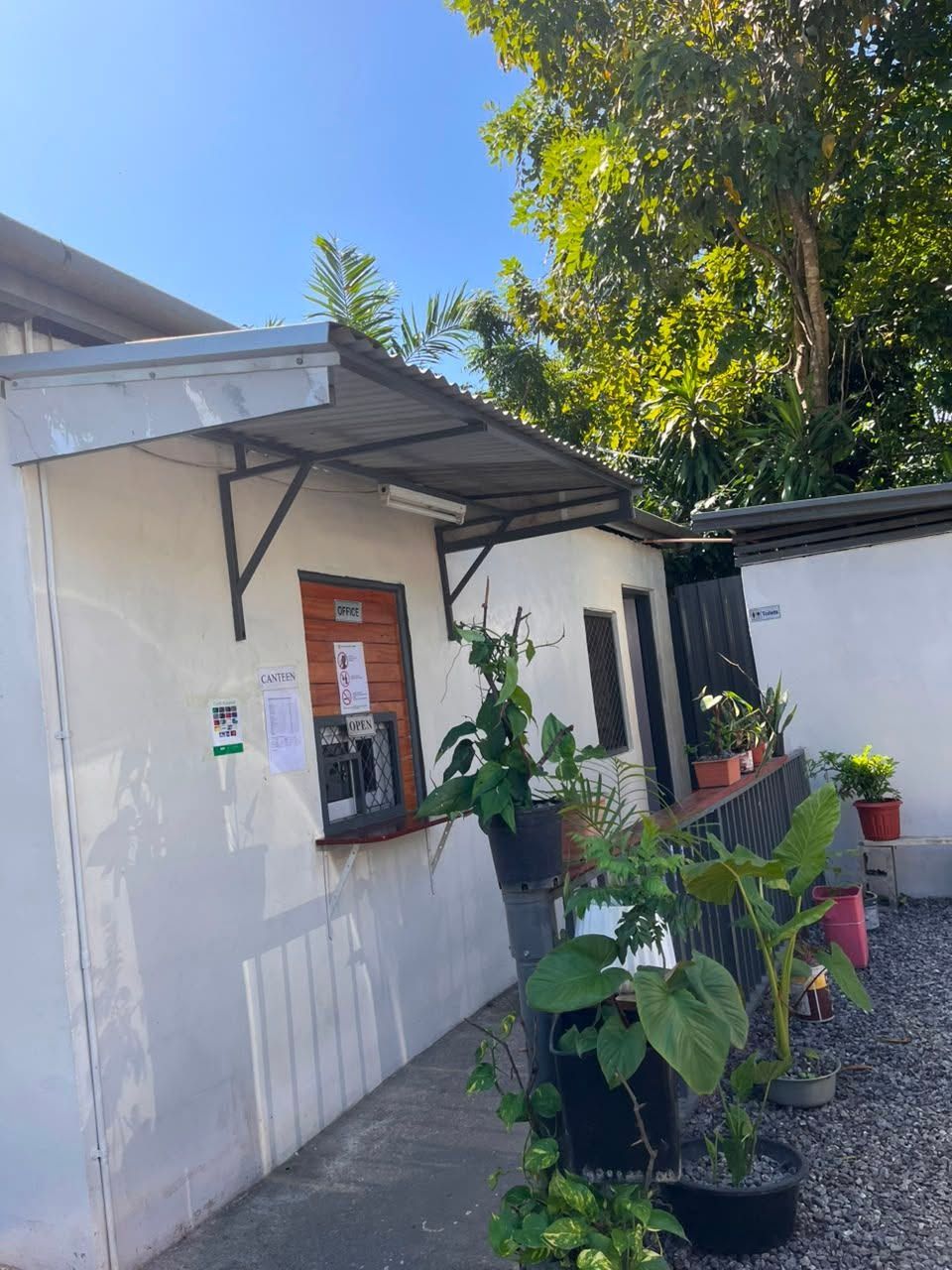 Canteen and office service window with potted plants in front