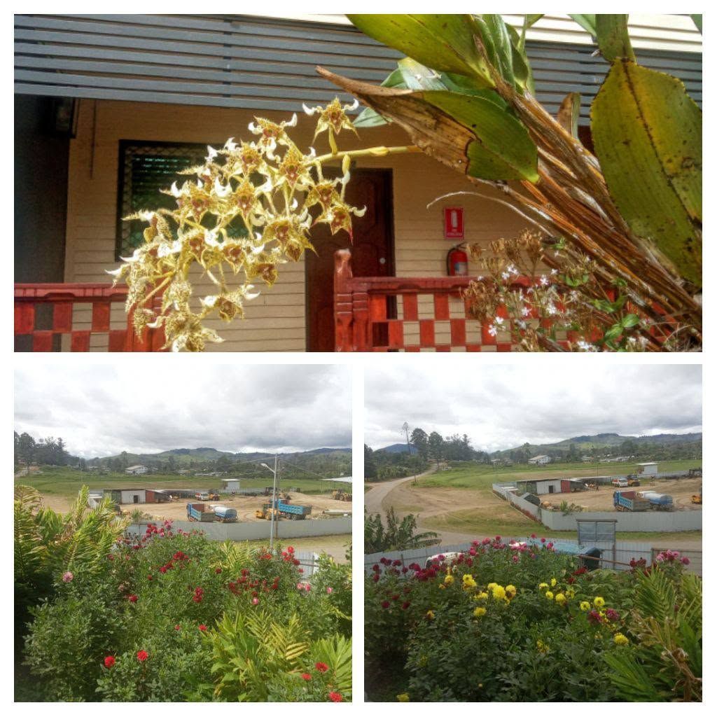 Collage of orchid flowers and garden views of the apartments.