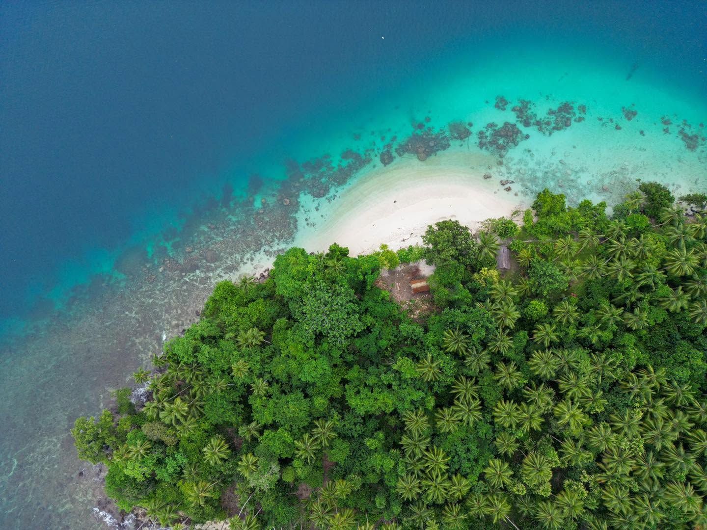 Aerial view of a white sand beach and lush tropical forest