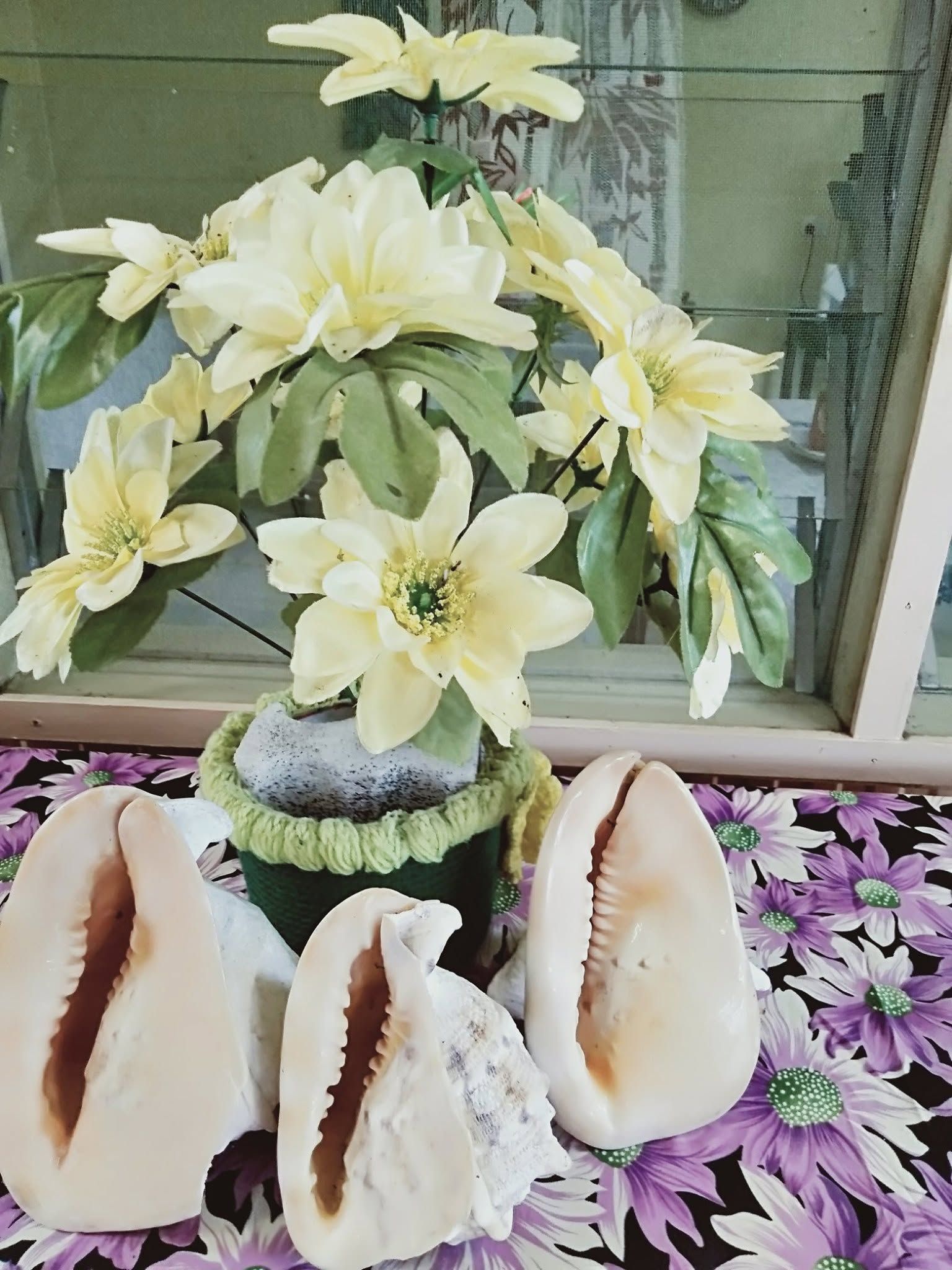 Seashells and floral decor on a patterned surface.