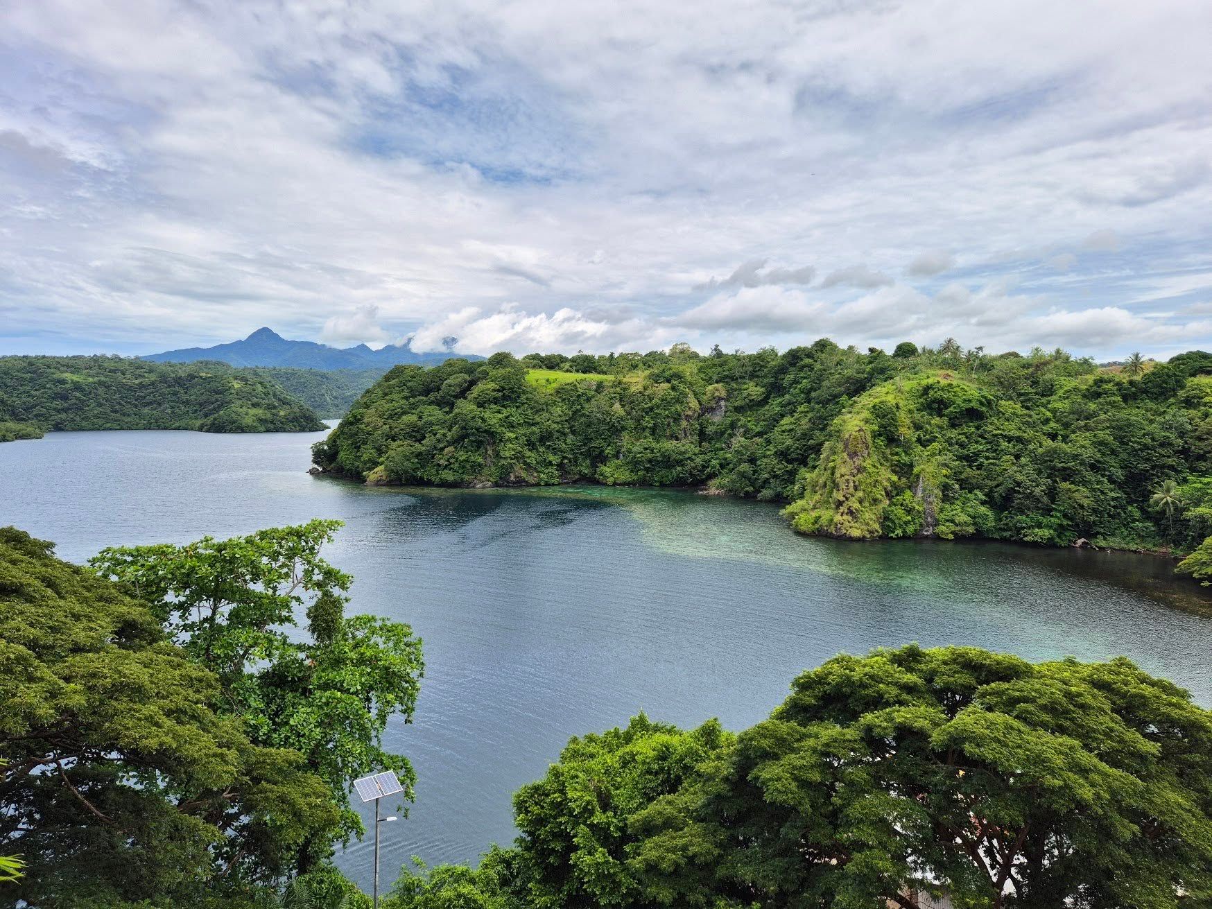 Aerial view of the lush green fjords and deep blue water.